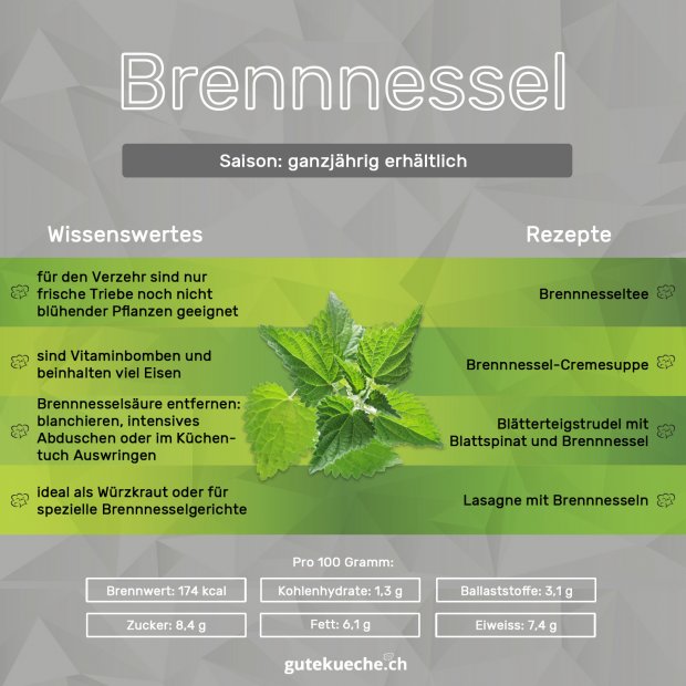 Infos-Brennessel